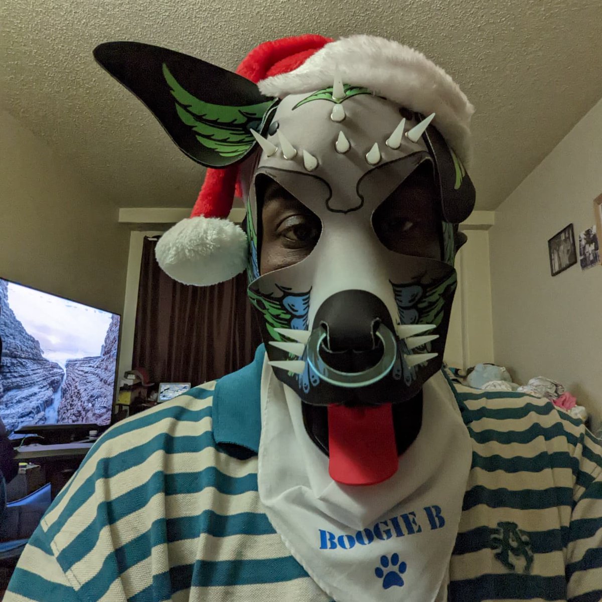LBoogiebear's tweet photo. Santa's Little K9 padded helper.. I love my new hood!💜 It's  playful yet terrifying. Hats off to @wruffstuff  for making this pup's Christmas a very special kink filled one. Arrrroooo! 🔥🎄💯

#wruffstuffhood #wruffstuff #pupplaycommunity #humanpupplay  #abdlbaby https://t.co/6iosiaNZ27