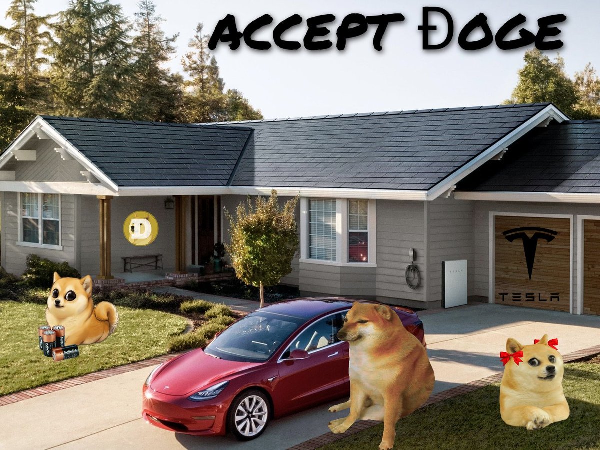 localrach's tweet photo. Today is a good day to accept dogecoin. https://t.co/dEYr6Zzzi9