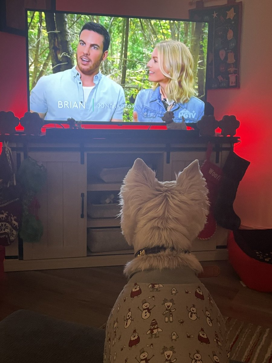 rorythewestie's tweet photo. Iz love to watch Brian and Sarah on @hgtv on da telly. Dis a good show called #backyardbuilds. ~ Rory #dogsoftwitter #westie #roryandfraser https://t.co/bV6xFiemYh