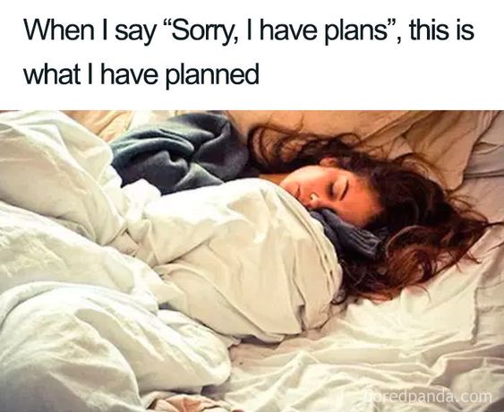 ComfortMade's tweet photo. This is our favorite after work plan. #SleepMeme #ComfyMattress
📸 Pinterest https://t.co/5tXsd5MvXY