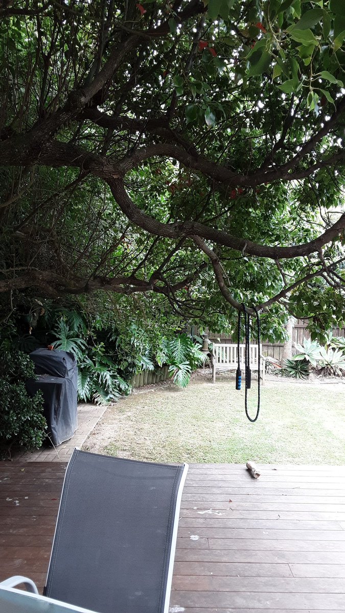 Lisa_Zate's tweet image. 🐷いこまいかい運動部🌸🌼
✅スクワット 20回
✅walking 1h
✅逆立ち 30秒
✅腕立て 10回
✅腹筋30回往復
曇り空🌫のまま穏やか🍀に日々は終わり
逆立ちで犬🦮🐕‍🦺をビビらせ今日は終了です😂🙏
#ダイエット倶楽部 #老化防止 #exerciselover #水2L