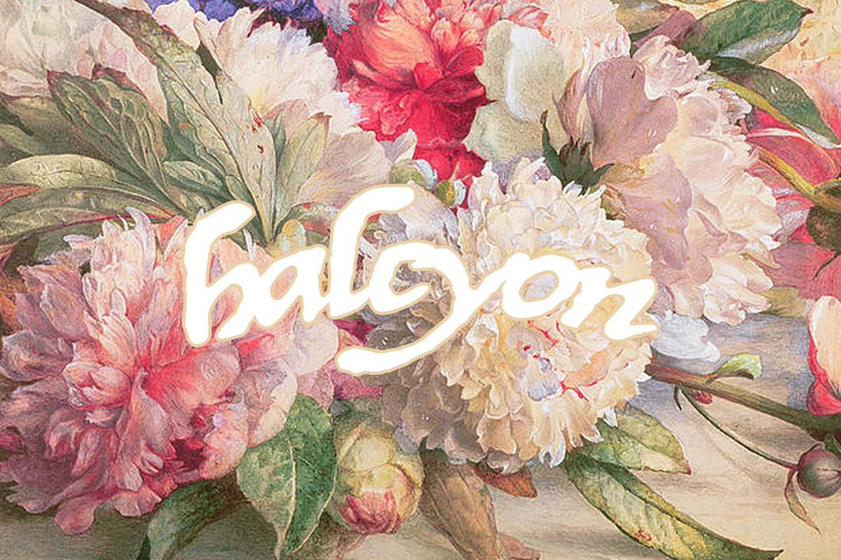 HALCYON tweet media
