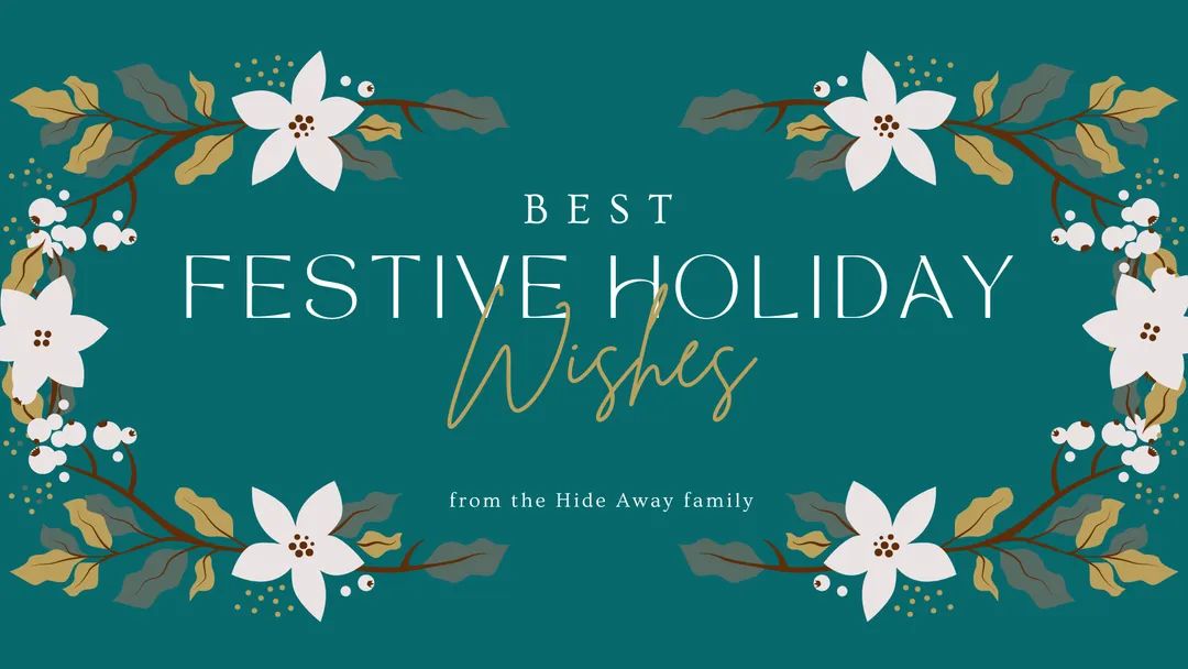 Hide Away Guesthouse tweet media