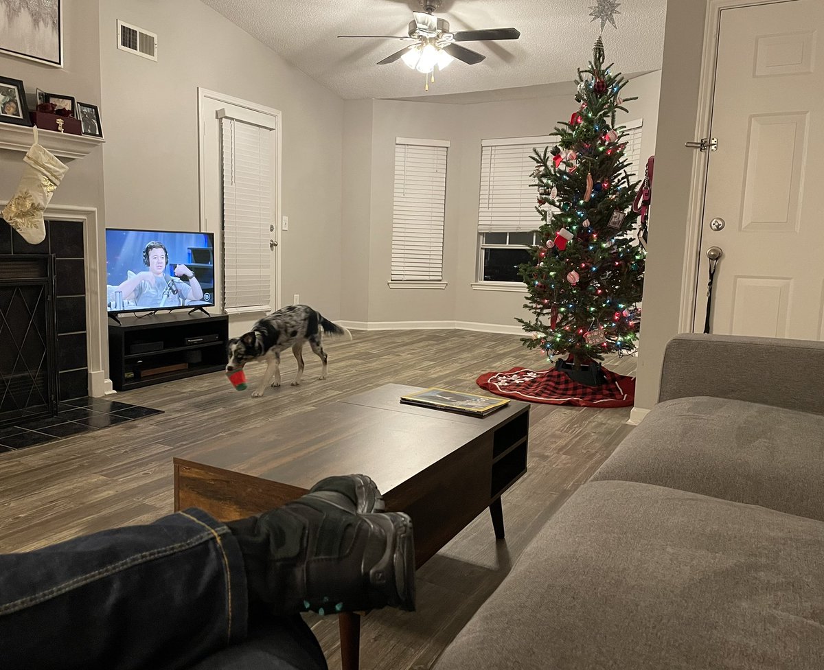 Should be an interesting episode of You Are Here with <a href="/SydneyLWatson/">Dr. Sydney Watson</a> and <a href="/ElijahSchaffer/">E</a> interviewing Kyle Rittenhouse. Finally watching it after my guests left. Ten minutes in Kyle is clowning hard of Binger and Lunchbox.

Awesome.