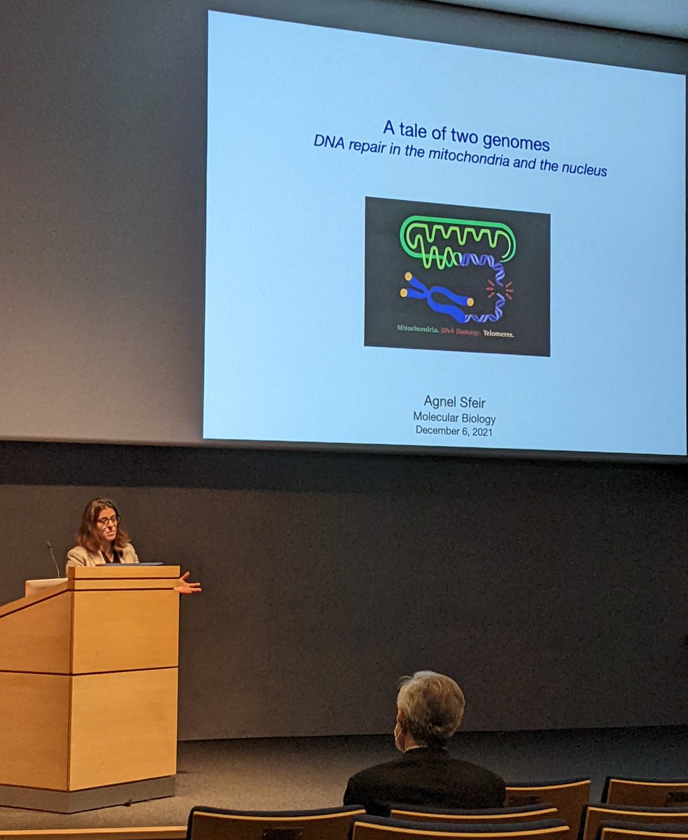 Wow - what a terrific SKI talk from our very own @AgnelSfeir today. @sloan_kettering