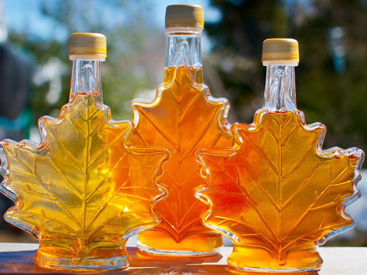 Canada unlocks emergency maple syrup reserves amid shortage