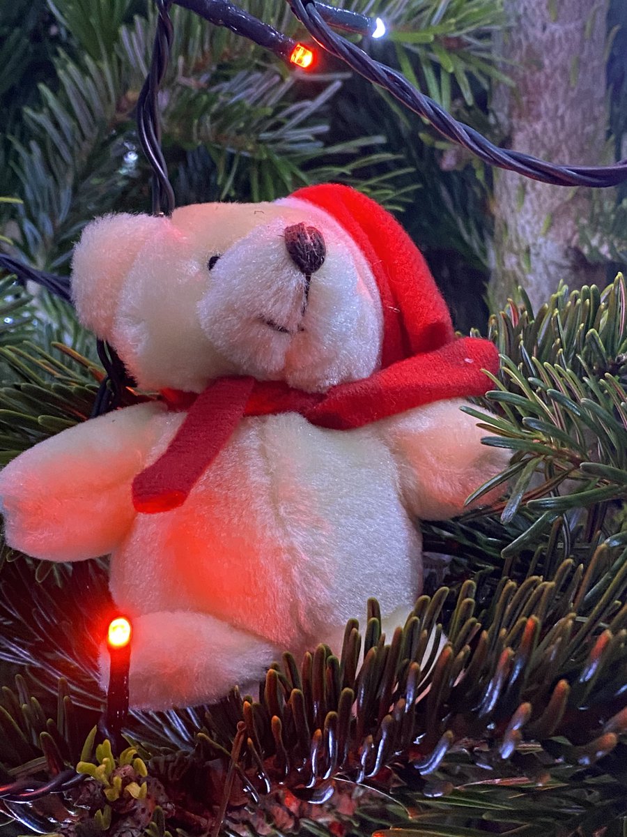 heather stuart tweet media