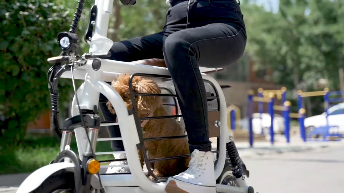 artofth's tweet photo. MOPET สกู๊ตเตอร์ไฟฟ้าแบรนด์ ญป ที่มาช่วยเพิ่มความปลอดภัยของทั้งเจ้าของและสัตว์เลี้ยง เวลาพาออกไปเดินเล่นรับลม

#ARTof #ARTofProduct #Mopet https://t.co/zXUfNnBW3a