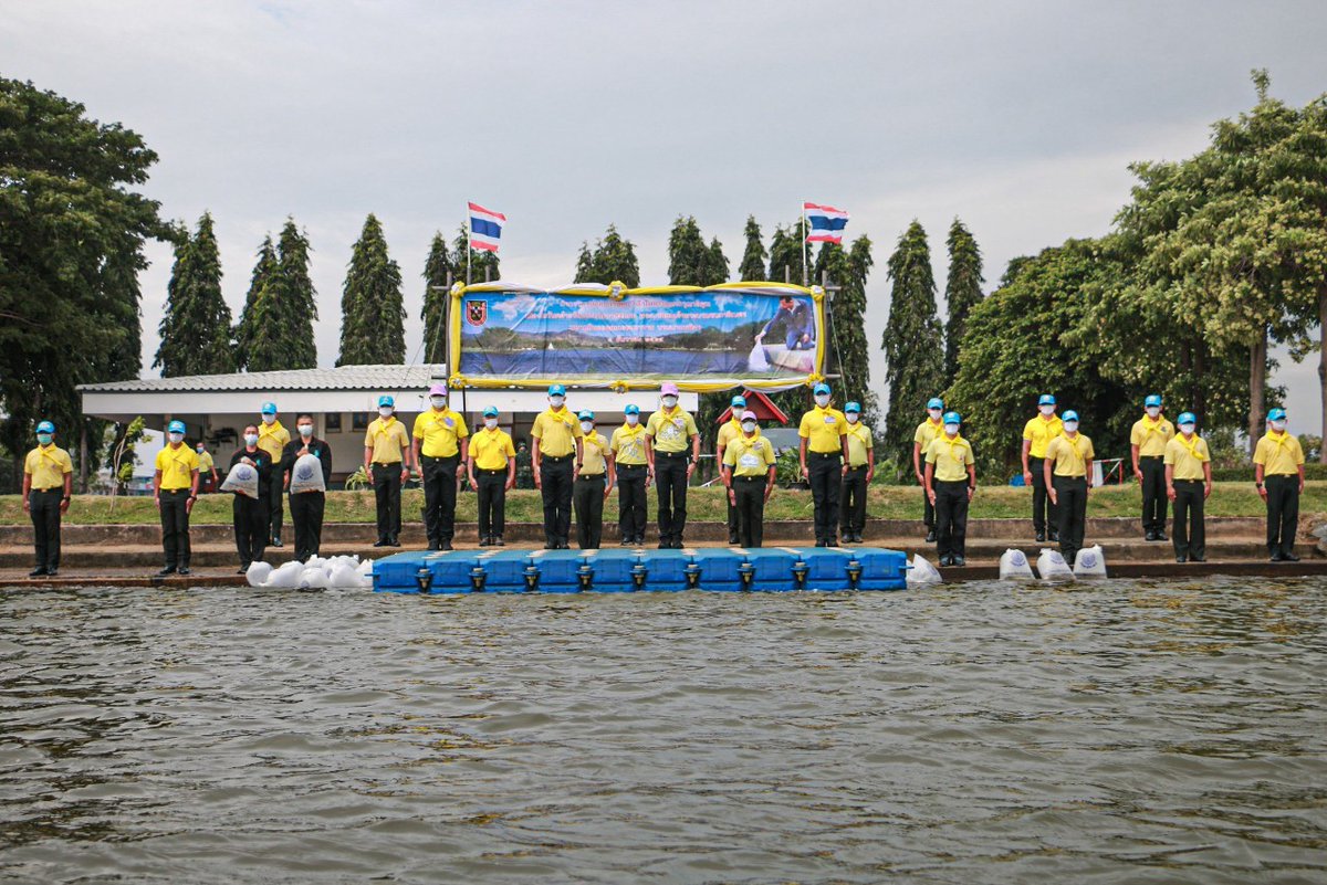 swcom2020's tweet photo. "ปล่อยปลานวลจันทร์ " 
 
รพศ.3 รอ.นำกำลังพลจิตอาสา ร่วมกิจกรรมปล่อยปลานวลจันทร์ จำนวน 6,000 ตัว เพื่อน้อมรำลึกในพระมหากรุณาธิคุณ เนื่องในวันคล้ายวันพระบรมราชสมภพ พระบาทสมเด็จพระบรมชนกาธิเบศรมหาภูมิพลอดุลยเดชมหาราชบรมนาถบพิตร 5 ธันวาคม 2564 ณ สระน้ำหน้า บก.รพศ.3 รอ.  

#กองทัพบก https://t.co/SeQf326Cvb