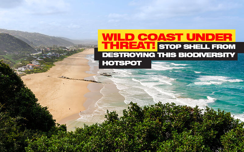 Jmeyer13J's tweet photo. ⛔  WE WON’T STOP FIGHTING ⛔
.@Shell must immediately STOP oil and gas exploration off SA's Wild Coast. The future is renewable: There is no room for fossil fuels or #FossilFools: https://t.co/9EC7ALBymk
.@News24
#ToHellWithShell
#SaveTheWildCoast 
#OceansNotOil https://t.co/lXhQAxmg6B