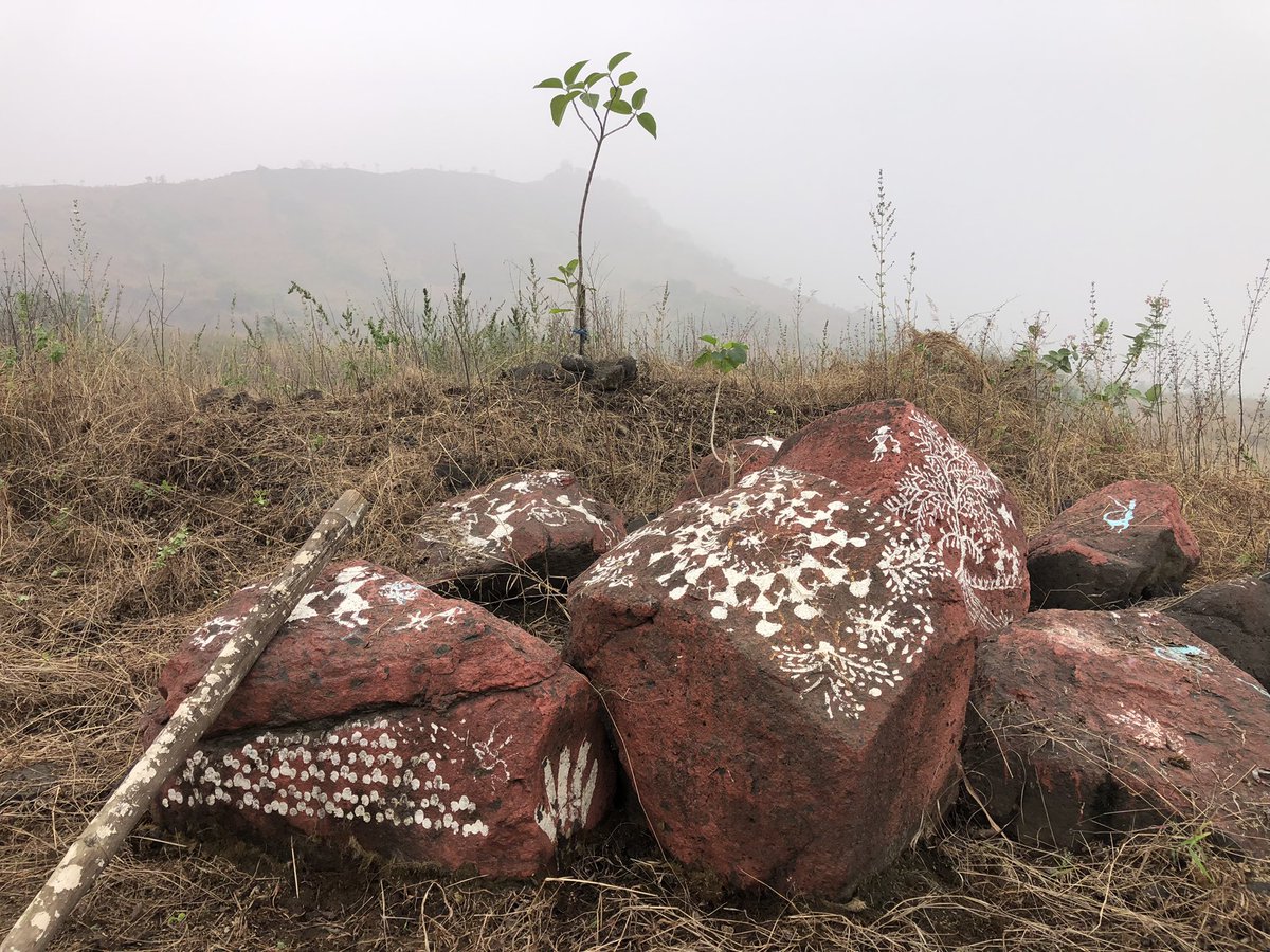 DK_Rise4Green's tweet photo. Saving a Banyan Tree in your lifetime is like saving a civilisation. EachOnePlantOne EachOneAdoptOne Banyan Tree. To Save the Hills One Need to Save A Tree. #Rise4Good. #IndividualSocialResponsibility @Save0urForests https://t.co/e0H2rMIoTf