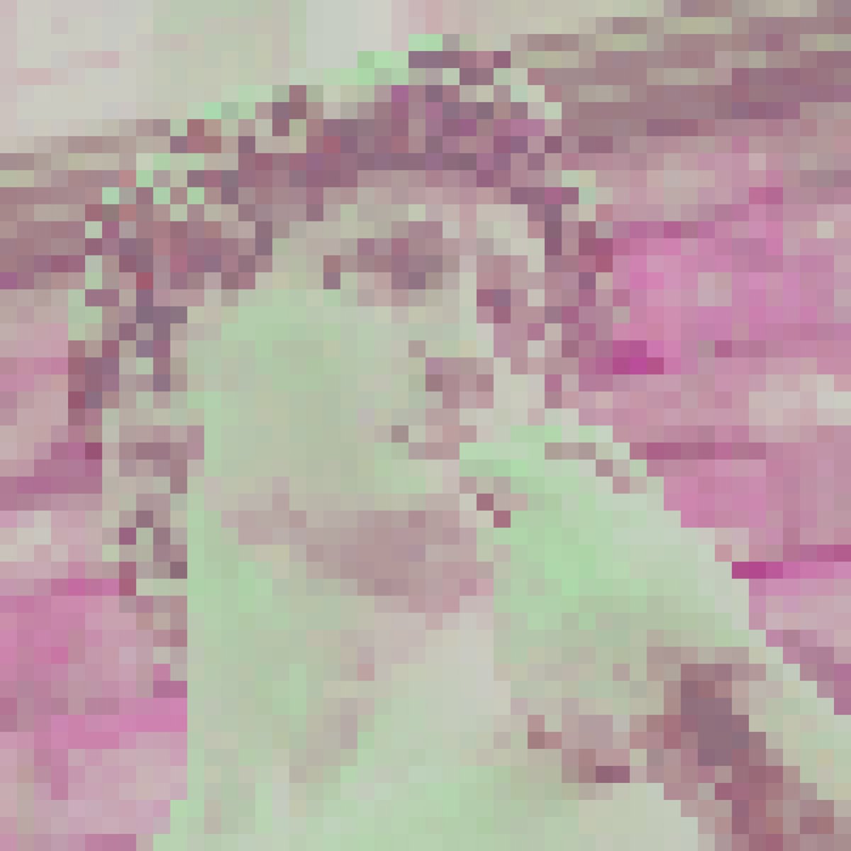 theomortus's tweet photo. @changerart 8k RESOLUTION 3 ETH - "Adam" Sakura edition https://t.co/VnjExg6wpj