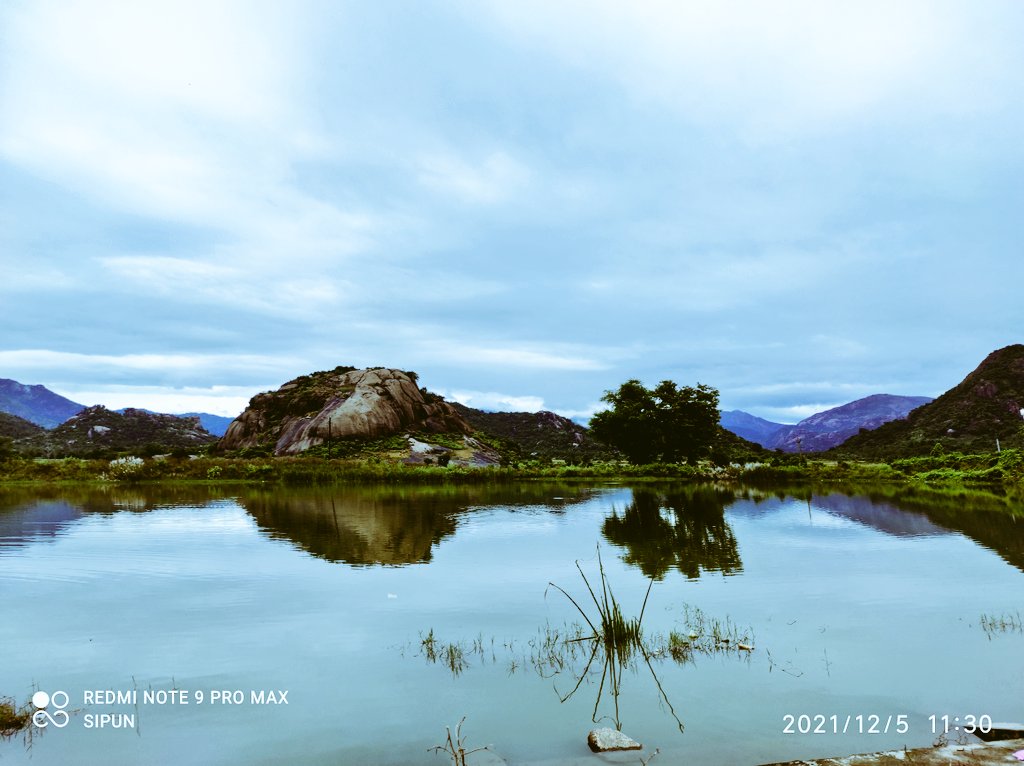 Kamalakant_Odia's tweet photo. Gorgeous GAJAPATI, #Odisha
#odishabyroad #odishatourism
#AzaadiKaAmritMahotsav #IndiaAt75 #incredibleindia #indiantourism #dekhoapnadesh #bharatdarshan 
@odisha_tourism @incredibleindia @Vijaykulange @DM_Gajapati @AMITABHTHAKUR21 @lokipalauri @Fishcosian @manas_muduli @drgynaec https://t.co/HkrdnpzUdW