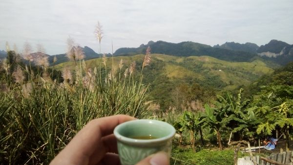 BiVitHi1's tweet photo. Có núi, có đồi, có sông, có suối, còn gì bằng nữa ! 😉 https://t.co/KQj3IIVmzZ