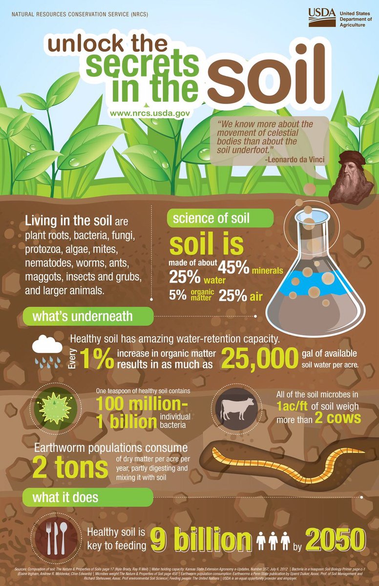 anugula's tweet photo. #WorldSoilDay
#Soil health is badly affected by 50-60 yrs of #chemical fertilisers, #pesticides, #weedicides & more. See the #biodiversity that is destroyed by such methods. #Moisture retention, #humus formation, plant feeding all happen better with #earthworms, #microbes in soil https://t.co/HQVMwQ46Zs