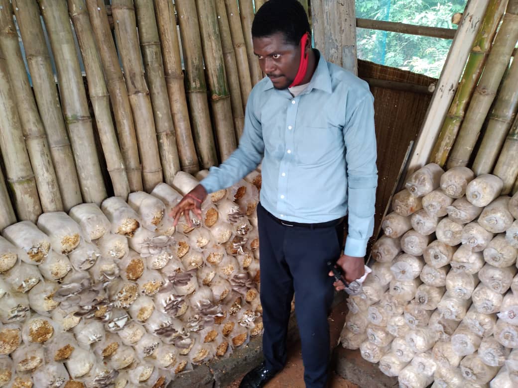 Youthgh's tweet photo. OVER 100 YOUTH TRAINED IN MUSHROOM FARMING

https://t.co/8o2jrkc0qz https://t.co/EgH3aeEkvb