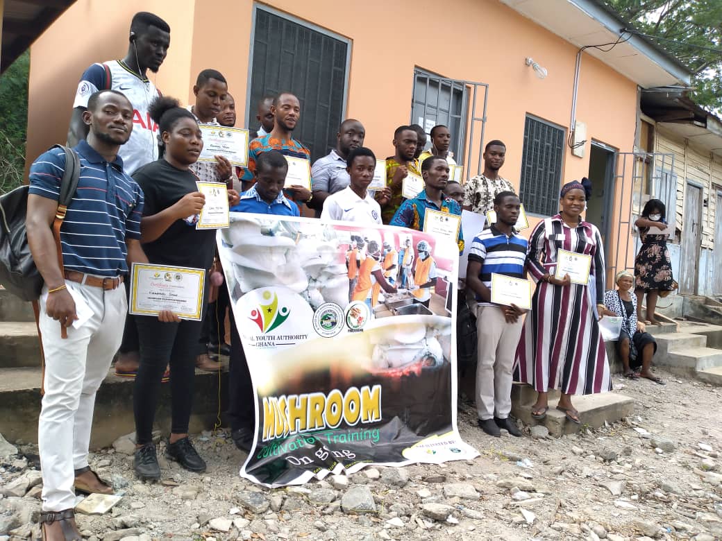 Youthgh's tweet photo. OVER 100 YOUTH TRAINED IN MUSHROOM FARMING

https://t.co/8o2jrkc0qz https://t.co/EgH3aeEkvb