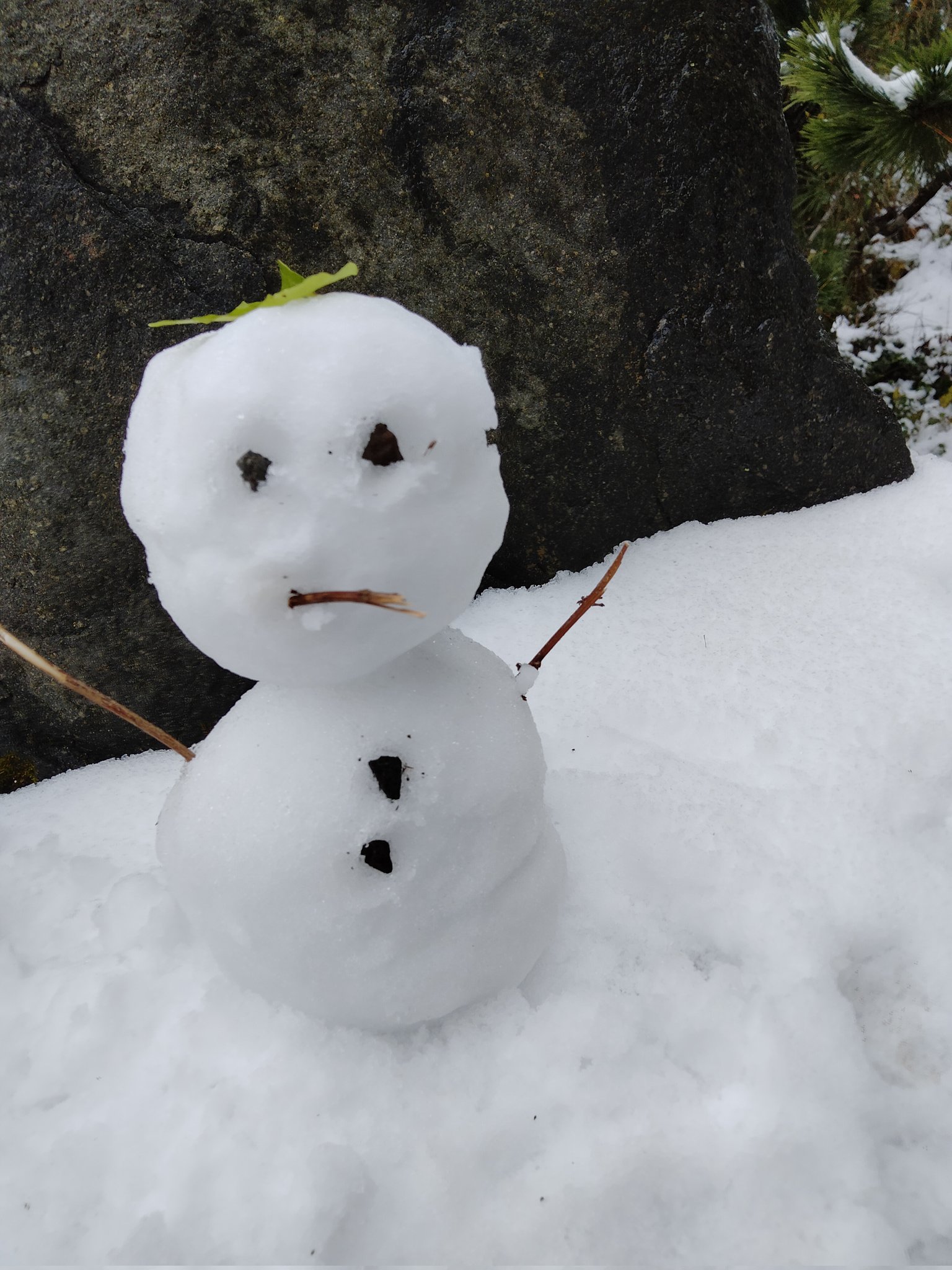 全力な少年 雪だるま完成 1枚目の写真がプーちゃん 2枚目の写真がポーちゃん 3枚目の写真がパーちゃん 皆かわいいーあー寒い寒い T Co Xccifnmxby Twitter