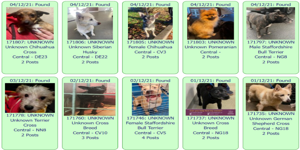 DogLostUK's tweet photo. #FOUND #DOGS * CENTRAL * December 4th ~ December 1st 2021

These #FoundDogs are on the @DogLostUK site as being FOUND in our #Central Area

If you see your dog below go to https://t.co/uP2Qg1VLWK and put the ID NUMBER (shown under the photo) into the search menu for more details https://t.co/7WqPicC3F9