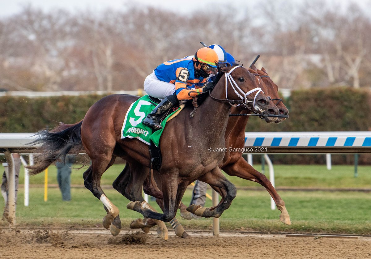 jmg27_janet's tweet photo. NEST and @iradortiz got it done in today’s Gr2 Demoiselle for @PletcherRacing @EclipseTBP #repolestable https://t.co/Aopq7en62C