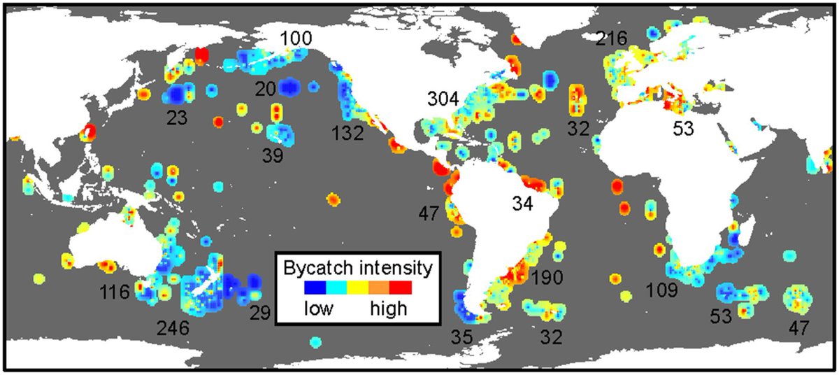 MaiAdalynn's tweet photo. #FishlearnerUBC This potential flaw points out the lack of data in areas beyond coasts. I can see the difficulty to get data from non coastal areas, where human activity is minimal and water is deep. We will need better prediction/indicator for non coastal regions (2/2) https://t.co/wqM0hxnsgv