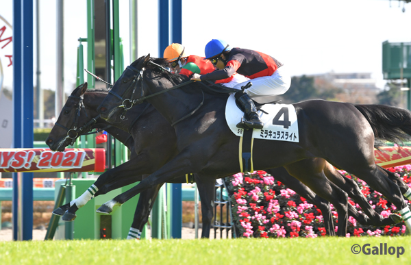 تويتر 週刊gallop Weekly Gallop على تويتر 中山5r 芝00mの新馬戦は5番人気マイネルトルファンが勝利 ゴール前3頭による接戦を制しました ユーバーレーベンやマイネルファンロンの弟です 父はオルフェーヴル マイネルトルファン T Co 8fuxqgw3sg