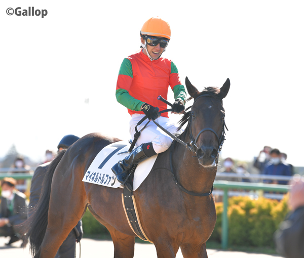 تويتر 週刊gallop Weekly Gallop على تويتر 中山5r 芝00mの新馬戦は5番人気マイネルトルファンが勝利 ゴール前3頭による接戦を制しました ユーバーレーベンやマイネルファンロンの弟です 父はオルフェーヴル マイネルトルファン T Co 8fuxqgw3sg