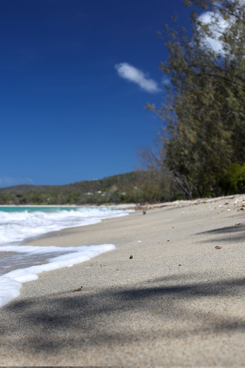 Hughesers's tweet photo. Dingo Beach this time last year for my birthday. #Beach #AirlieBeach #FarNorthQueensland @Queensland @Australia #CanonEOSR #ThePhotoHour #ThePhotoChallenge #ShutterNutters @The_PhotoBattle https://t.co/j9vQP66ics