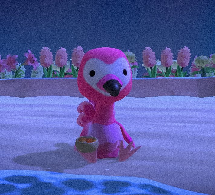 awhoraforflora's tweet photo. good soup π₯β¨ #AnimalCrossingNewHorizions #AnimalCrossing #ACNH #NintendoSwitch #acFlora https://t.co/ugkgsOiyV0