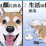 こんなに分かりやすい生き物いる？w犬版「自分を表す八か条」