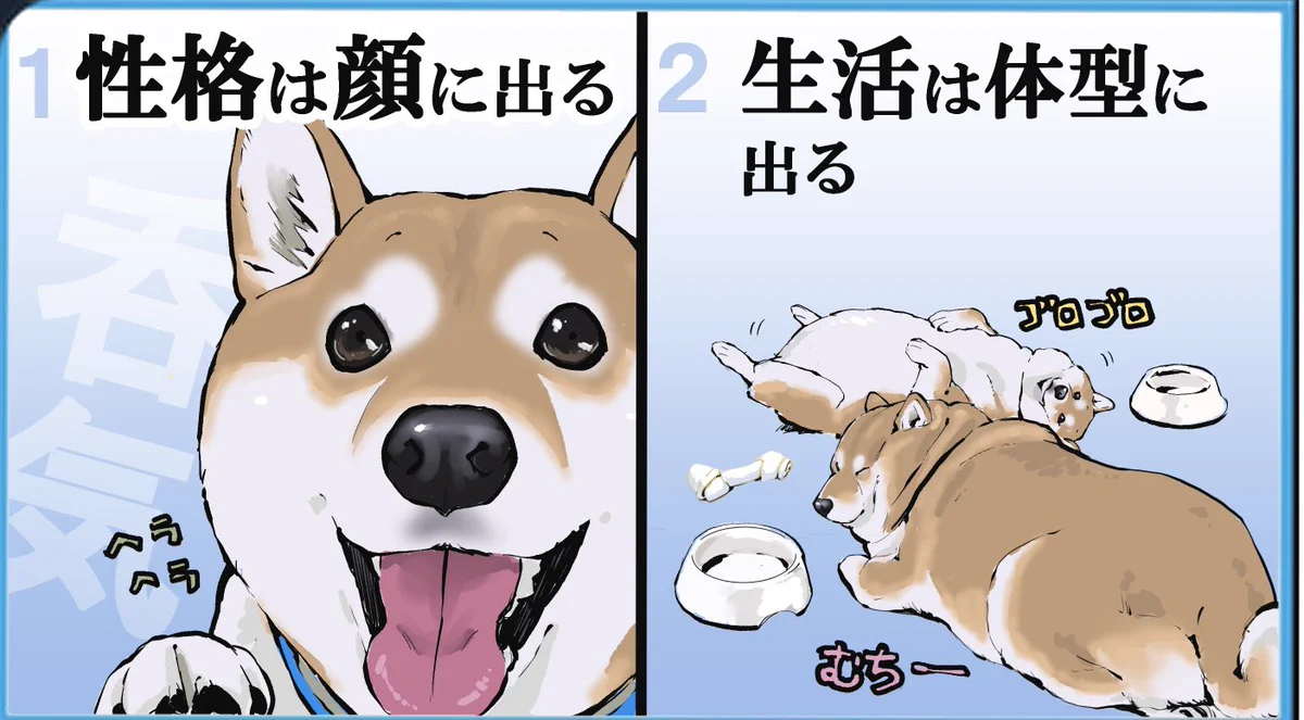 こんなに分かりやすい生き物いる？ｗｗ犬版「自分を表す八か条」