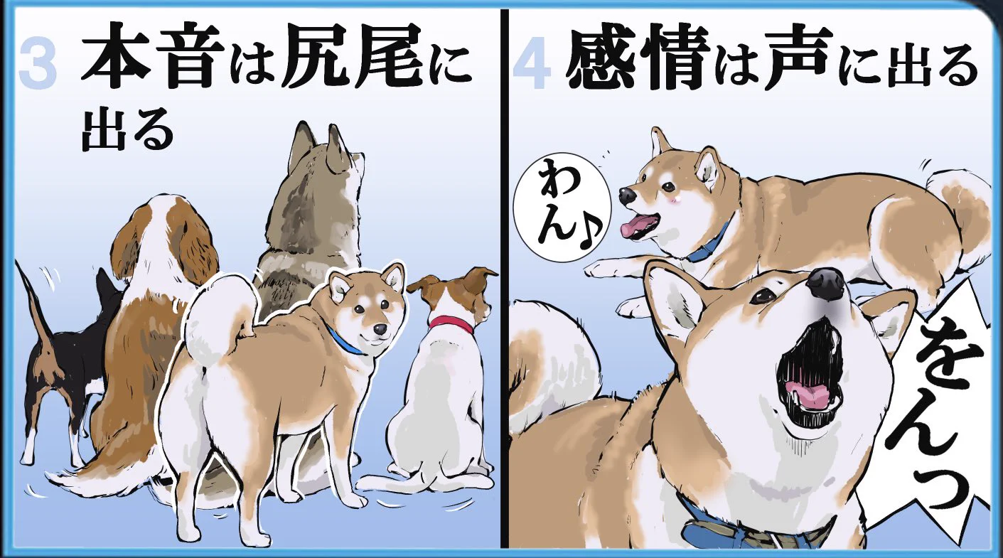 こんなに分かりやすい生き物いる？ｗｗ犬版「自分を表す八か条」