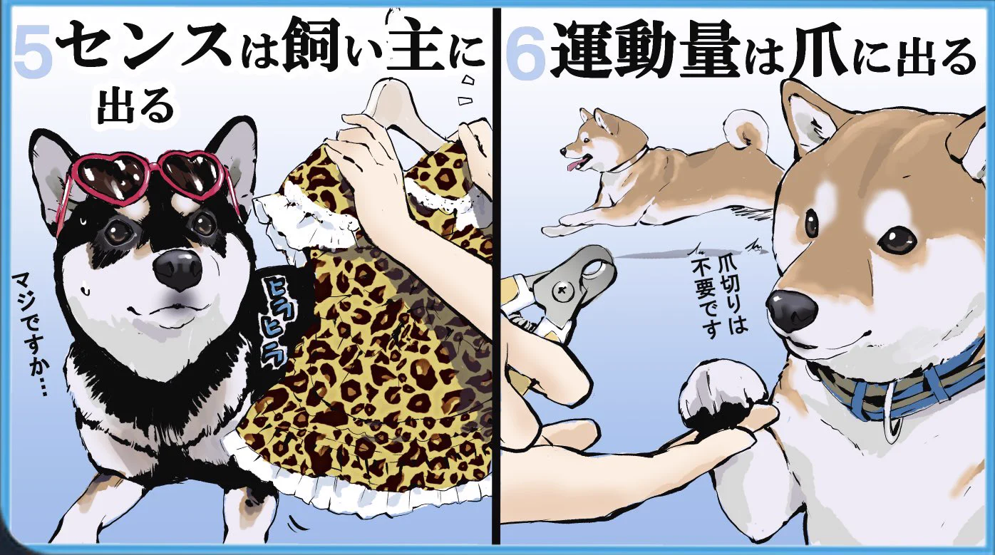 こんなに分かりやすい生き物いる？ｗｗ犬版「自分を表す八か条」