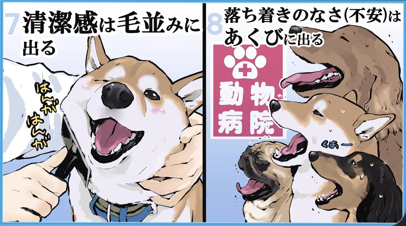 こんなに分かりやすい生き物いる？ｗｗ犬版「自分を表す八か条」