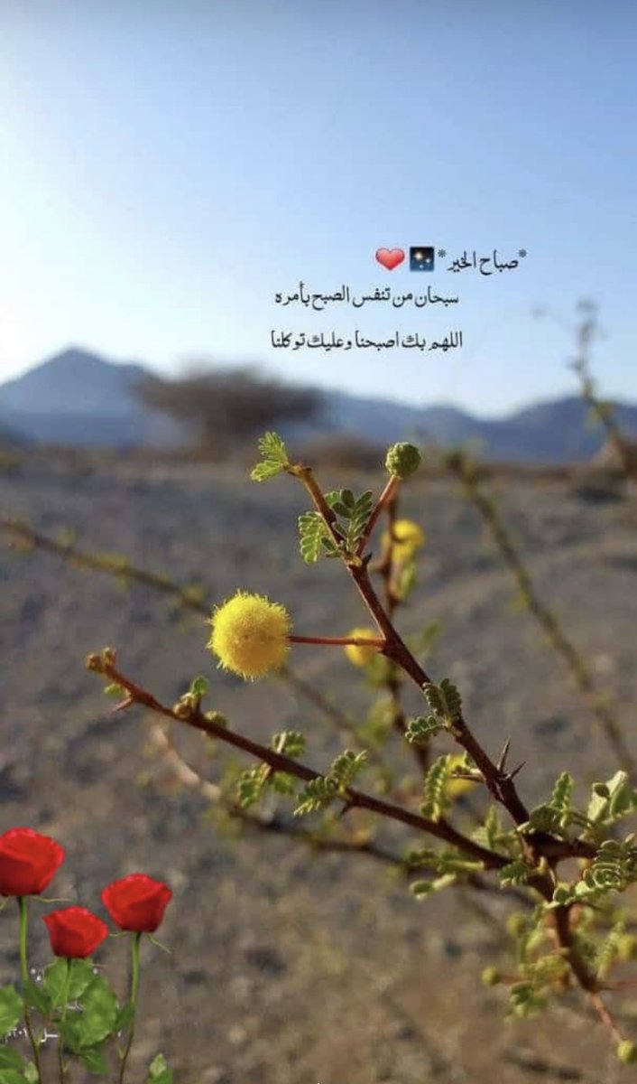 صباح الخير…💞