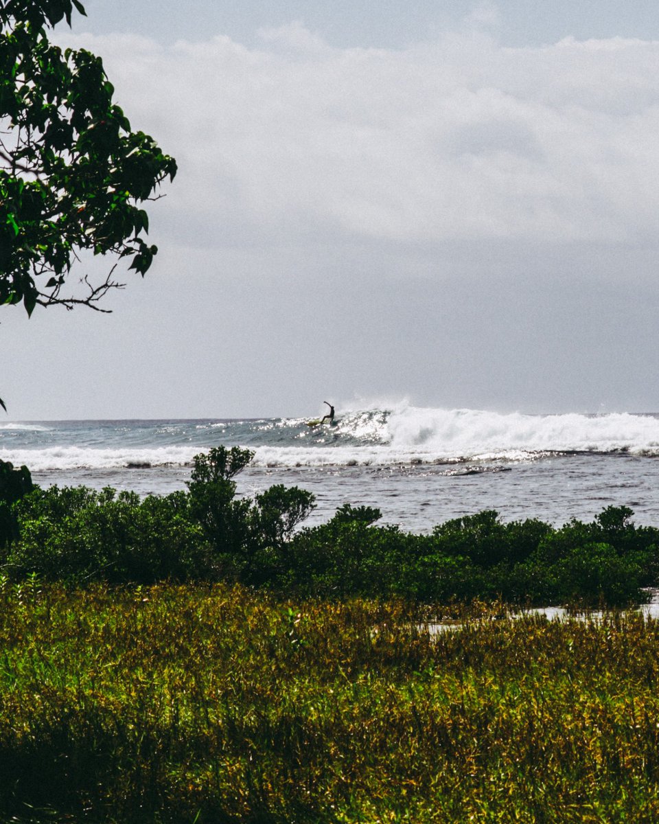 IvanSkvaril's tweet photo. surf report from the backyard today. only 2 more weeks til I’m back home 😎

pc: Caleb https://t.co/GVNOq3jw0d