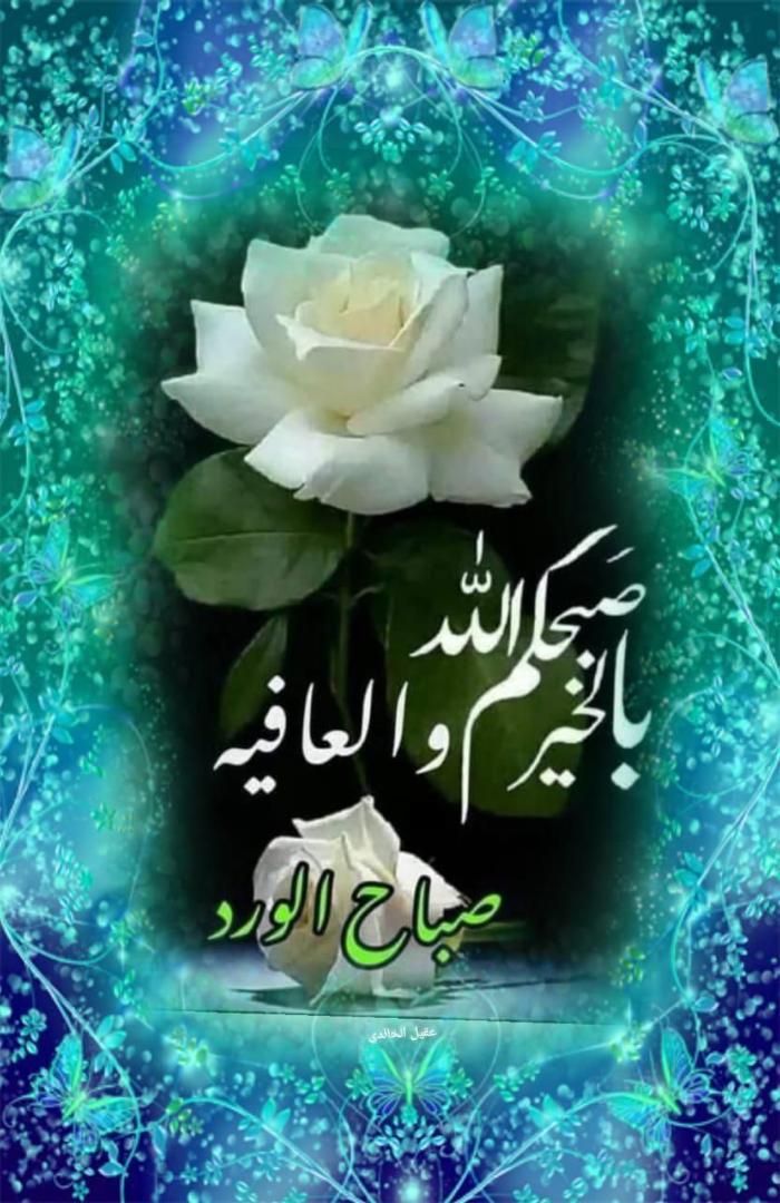 muhamadialbagh2's tweet photo. @NSeae1wNDSMOiFa @zeinabsaleh588 https://t.co/7SfSitwWi2