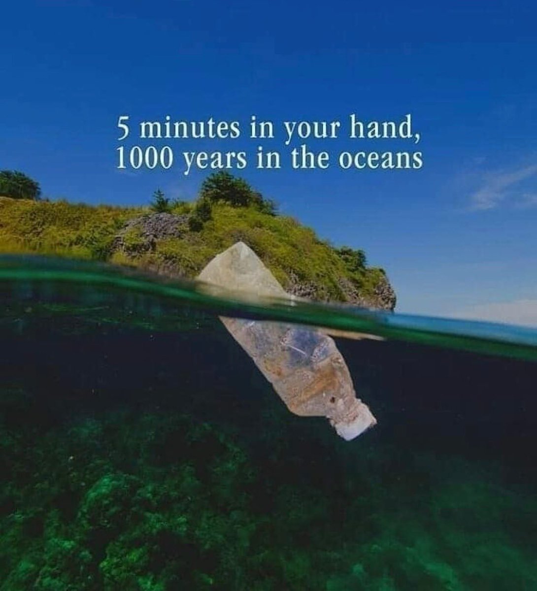 SudhaRamenIFS's tweet image. Think!
We had enough of lessons already..