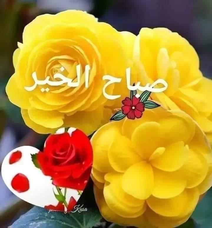 muhamadialbagh2's tweet photo. @Shrooq67940667 https://t.co/11G7VzUR3p