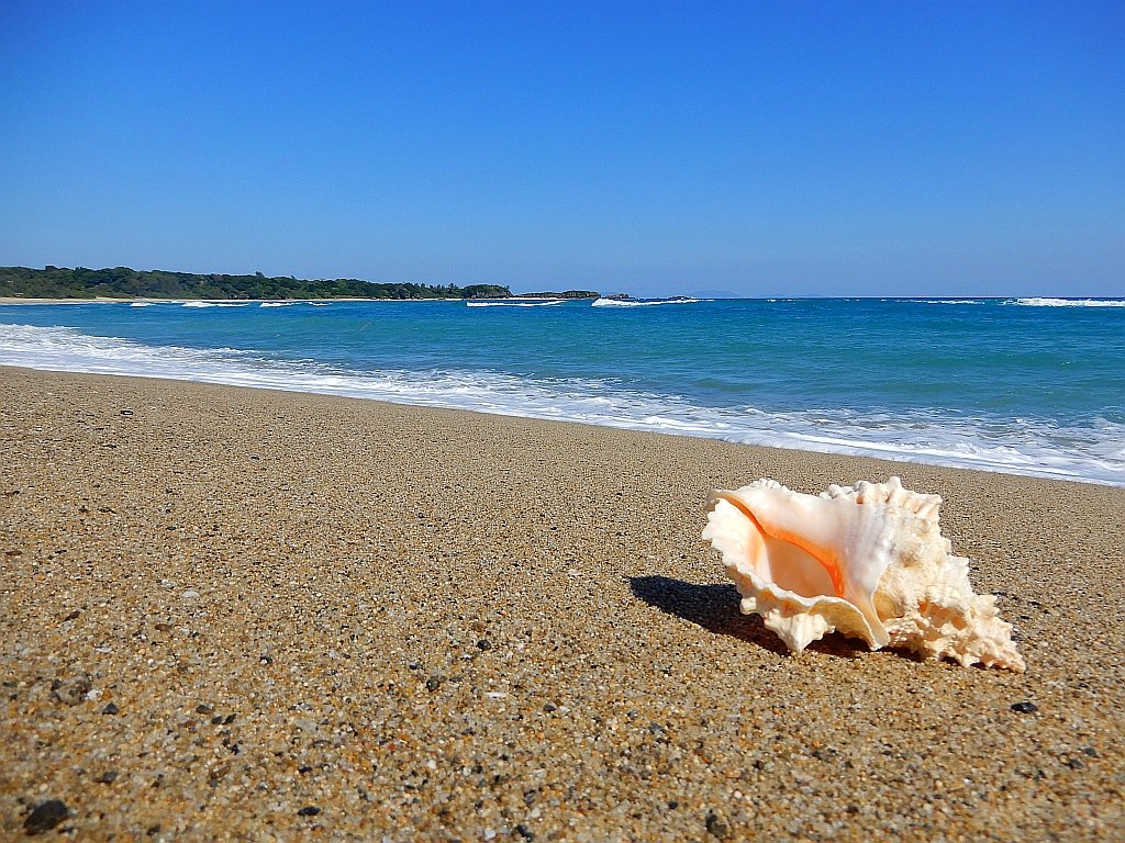 海辺の風景 快晴の空と青い海、沖合には白波が見えます。 奄美 amami The clear sky, the blue sea, and the white waves are off th