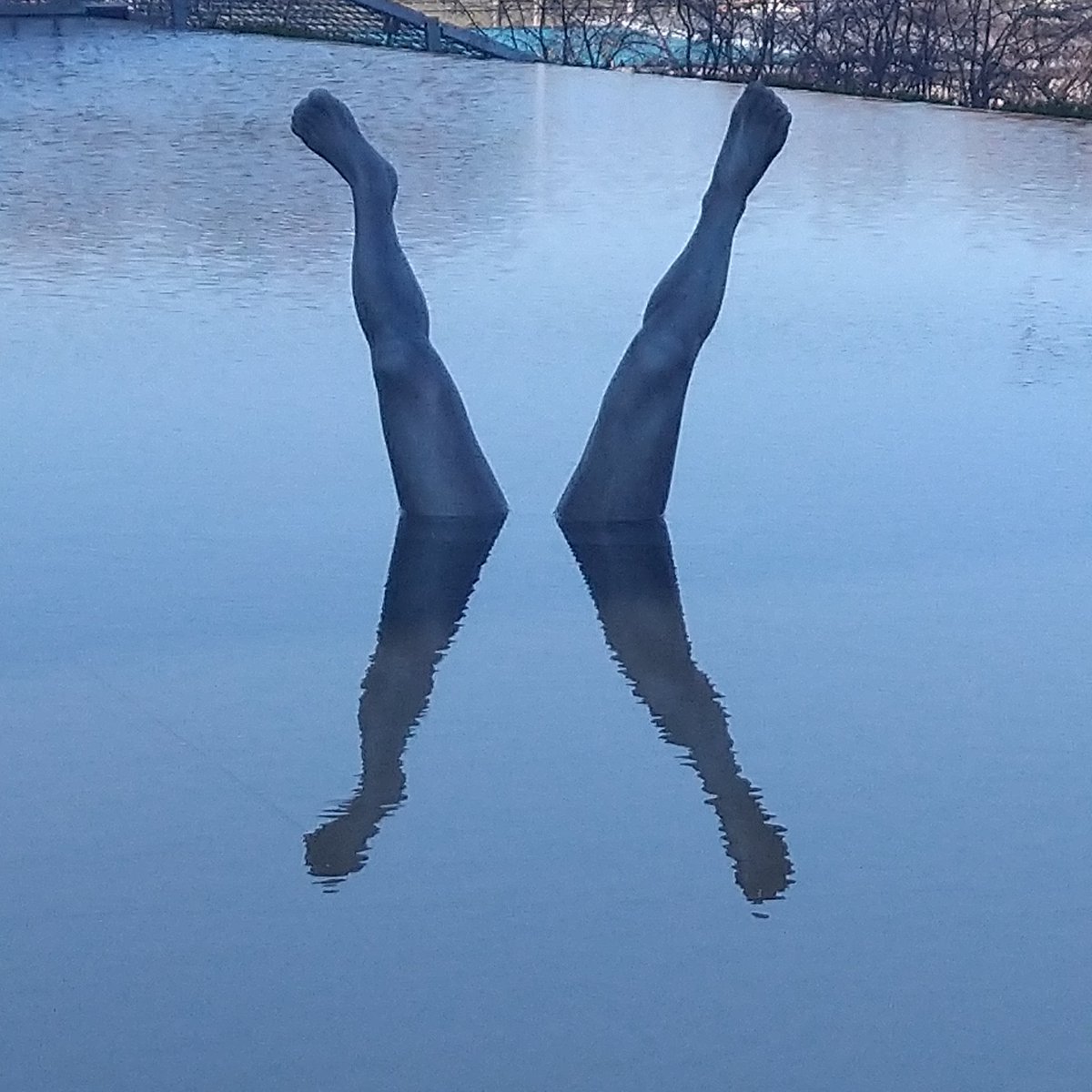#新しいプロフィール画像