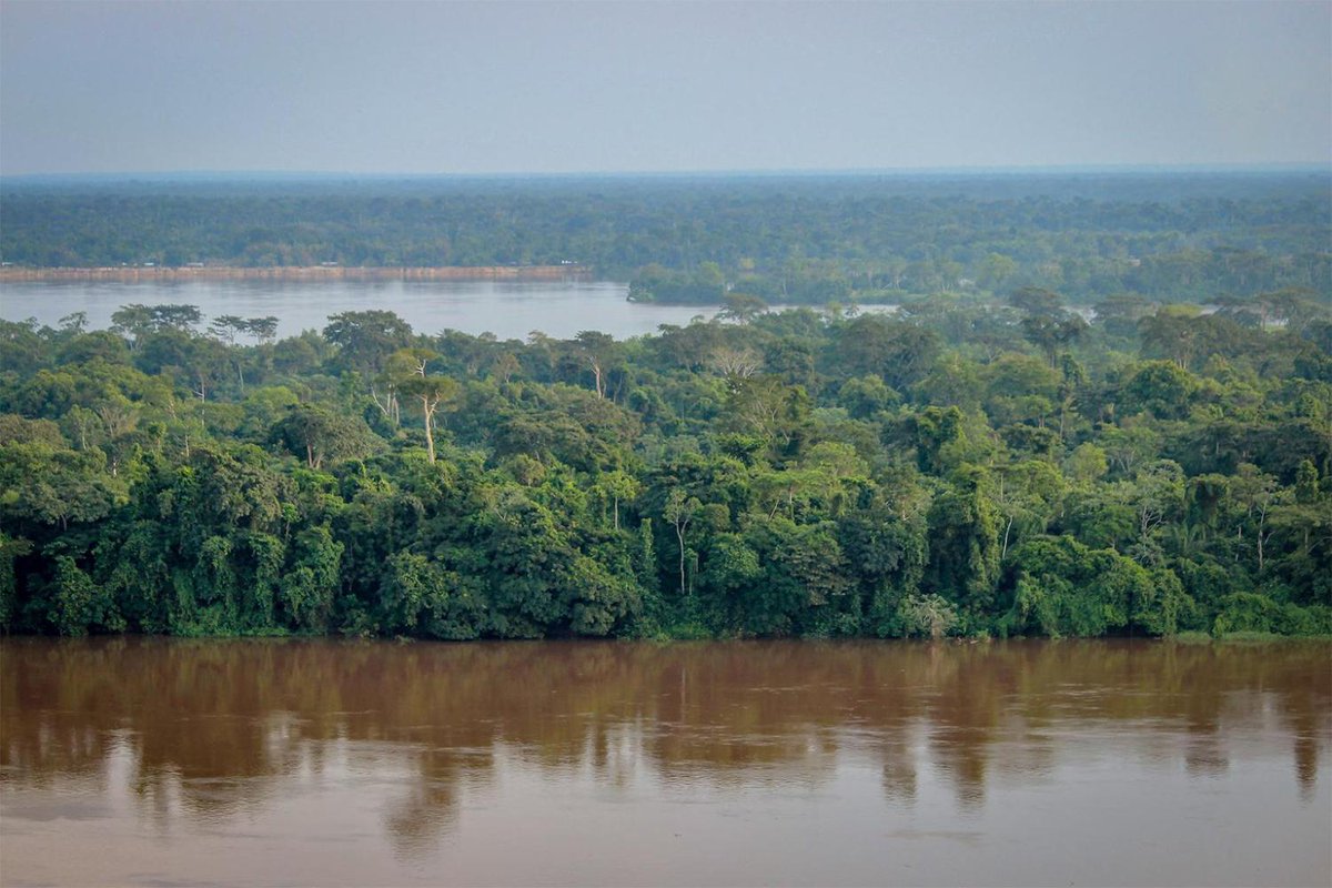 12 international donors have pledged at least $1.5 billion over the next 4 years to support protection and sustainable management of the Congo Basin forests, but is it enough?

<a href="/JimLTan/">Jim Tan</a> reports: bit.ly/3xVNcAf
