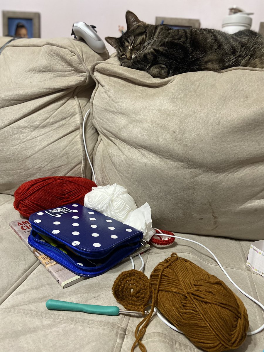 PajariSteffanie's tweet photo. Crocheting next to my sleeping kitty while watching @nailogical paint her feet… this is it, I have peaked at 34 😹 https://t.co/BF3mOw6NrK