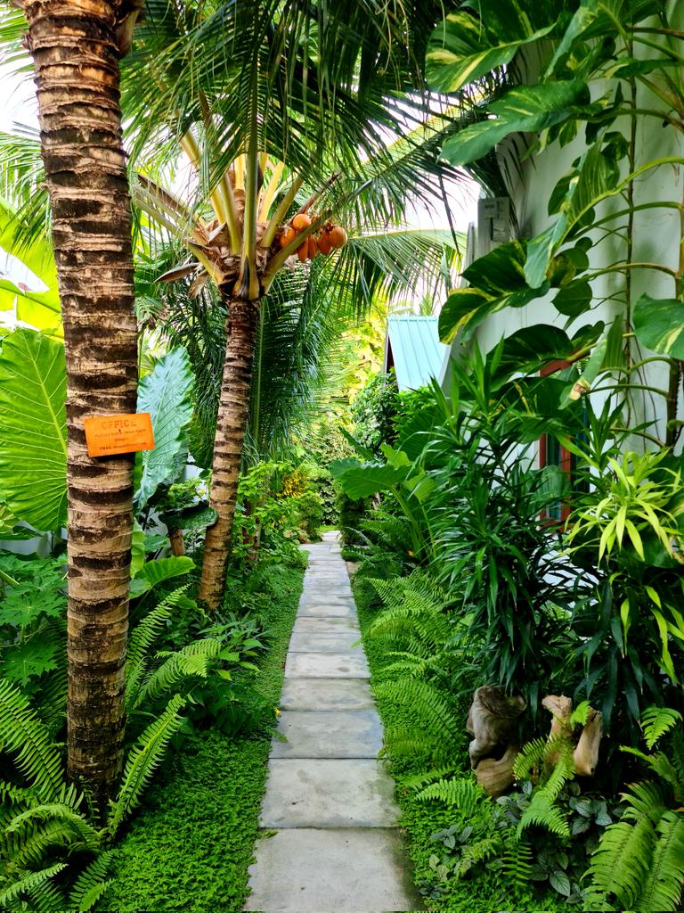 yoosufmaaniu's tweet image. Like, Follow &amp;amp; re-tweet, will have flash promotions and free stays at Lunara Residence, AA. Thoddoo every week. These special packages will only be available for those who follow. Thank you.