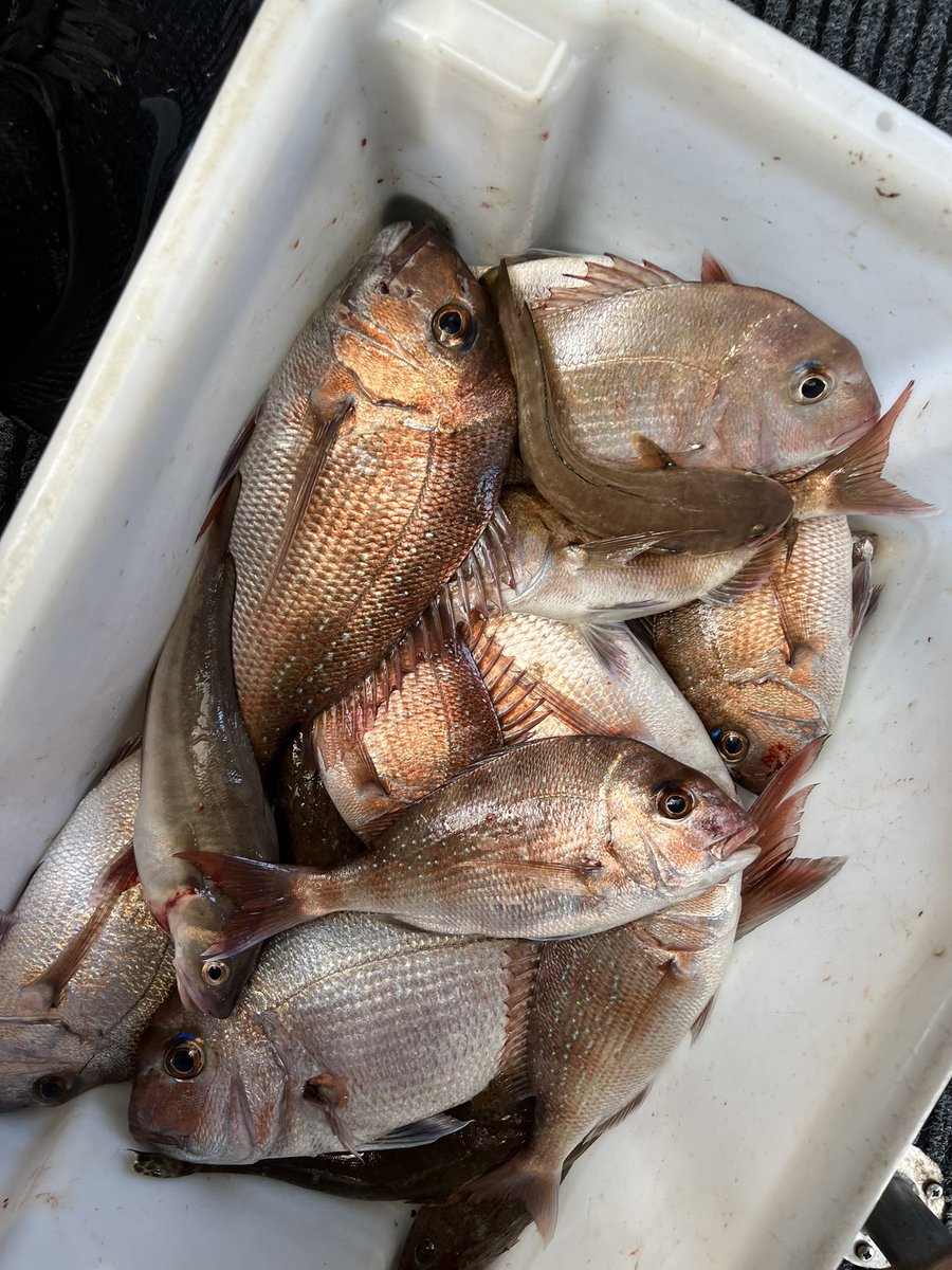 ؜Dilan Marben (@fimmz) on Twitter photo 