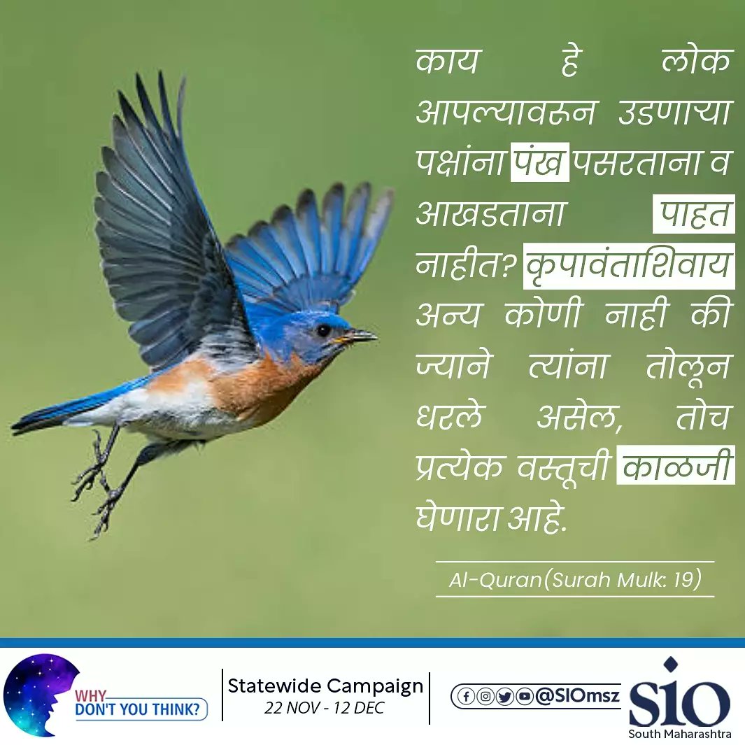 siomsz's tweet photo. Why Don't you think ⁉️
Statewide Students Campaign
"Do they not observe the birds above them spreading their wings and folding them in? None can uphold them except (Allah) most gracious: truly it is He that watches over all things."
Al-Quran (Surah Mulk:19)
#whydontyouthink https://t.co/2QZGgIsrl7