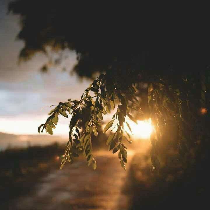 bofaroos1's tweet photo. صباح الأمل حينما ندرك أن كل شيء بيد الله صباح الرضا بما هو مكتوب صباح الابتسامة بما هو قادم صباح الخير للجميع.♥️🍁 https://t.co/kCFWiPXqBI