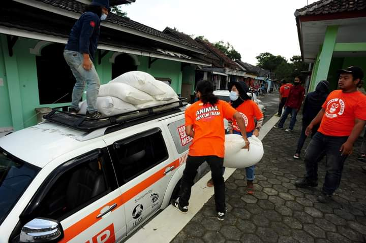 Otanonymous_'s tweet photo. Selain mengangkut hewan ke tempat pengungsian, operasi penyelamatan juga memiliki banyak tugas. Misi pencarian dan penyelamatan, menerima penyelamatan hewan peliharaan, serta memberikan perawatan medis darurat. https://t.co/JDzhKQZk8A