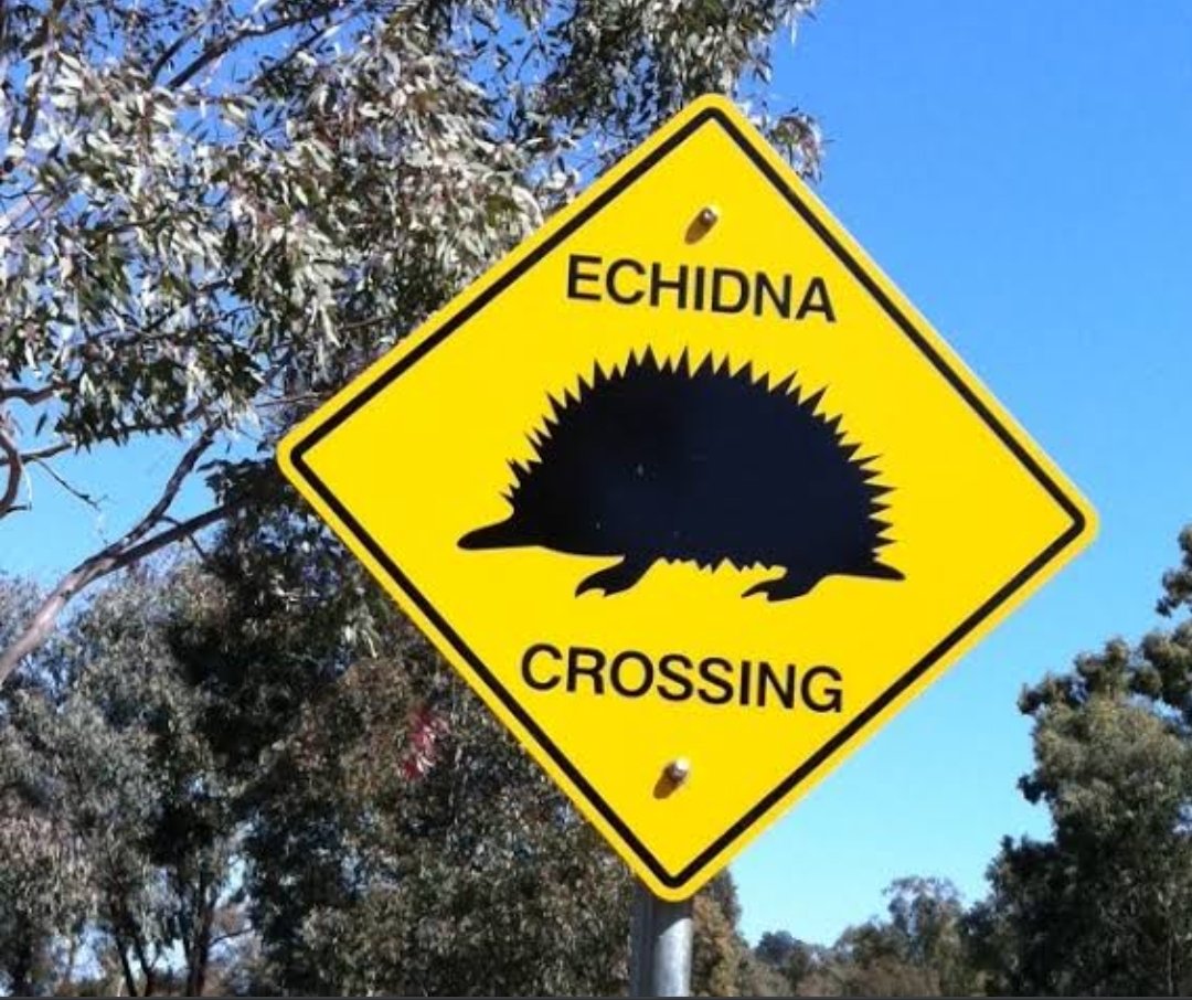 Trackside Towtruck tweet media