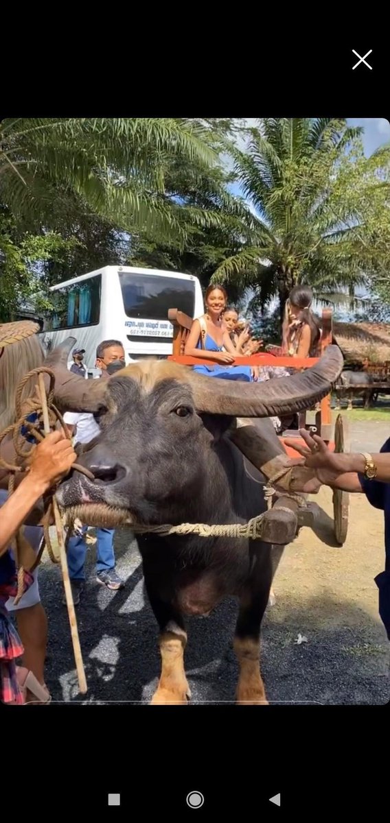 BhartiyaPagean1's tweet photo. Stop Animal Abuse! @NawatTv @MissGrandInter animals are not your vehicle! #IndiaNeedsApology https://t.co/viP72nKACy